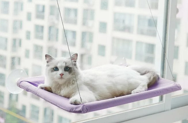 Cat Lookout Window Hammock
