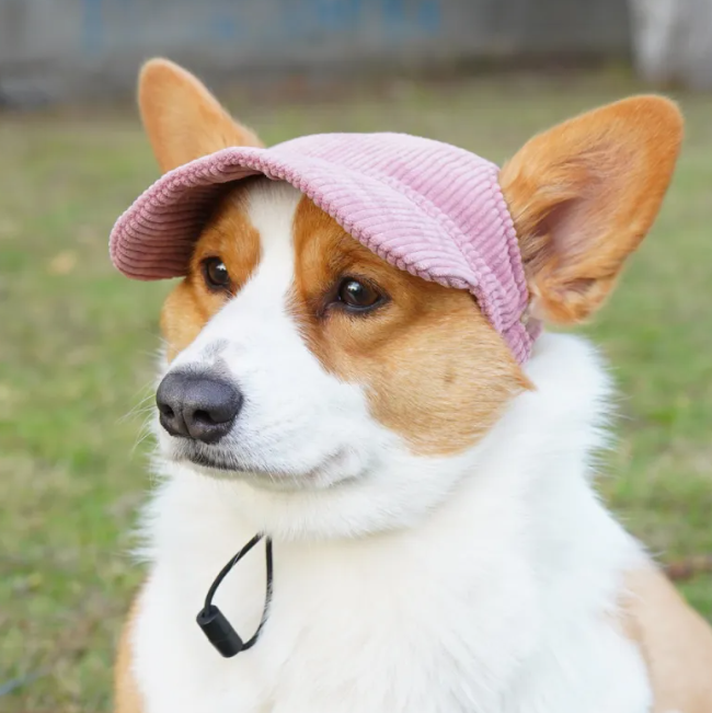 Chic Pet Cap