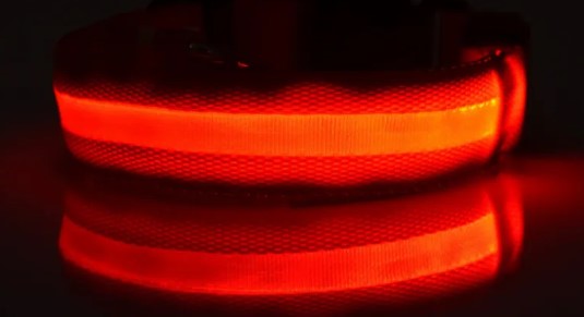 GlowSafe Nylon LED Collar & Leash