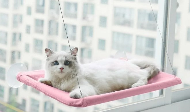 Cat Lookout Window Hammock