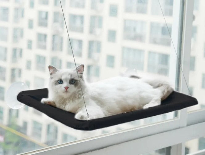Cat Lookout Window Hammock