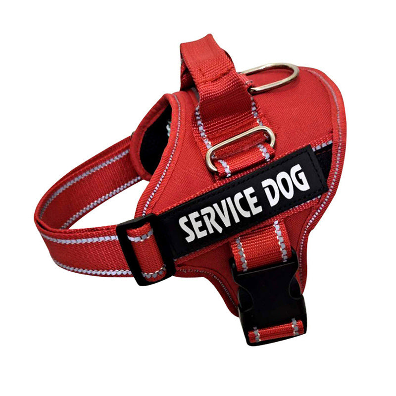 Custom-Fit Pet Explorer Harness