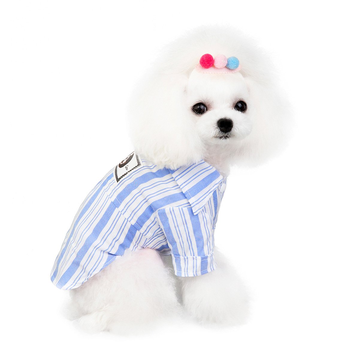 Chic Pet Outfits - Dog and Cat Shirts