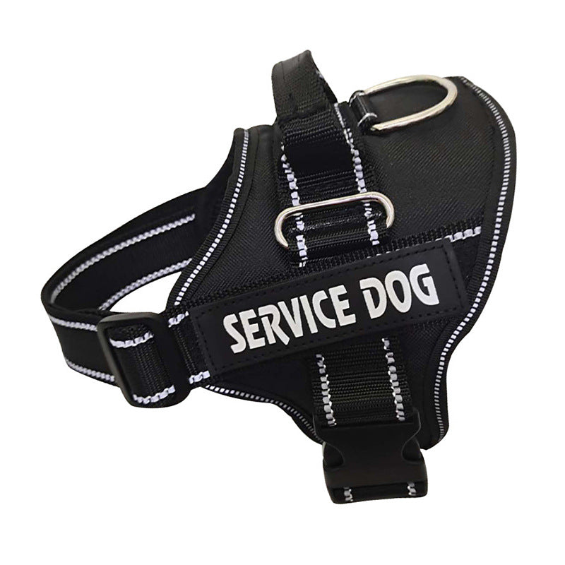 Custom-Fit Pet Explorer Harness