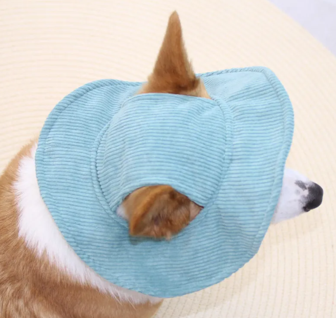 Chic Pet Cap