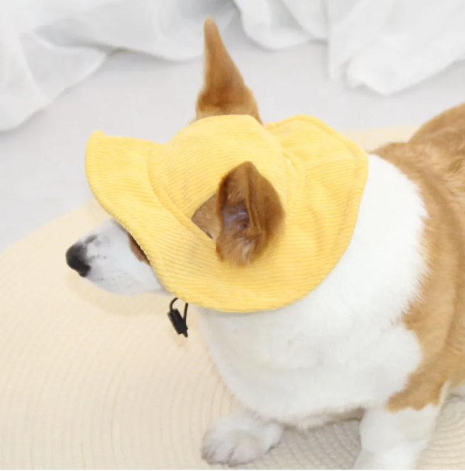 Chic Pet Cap