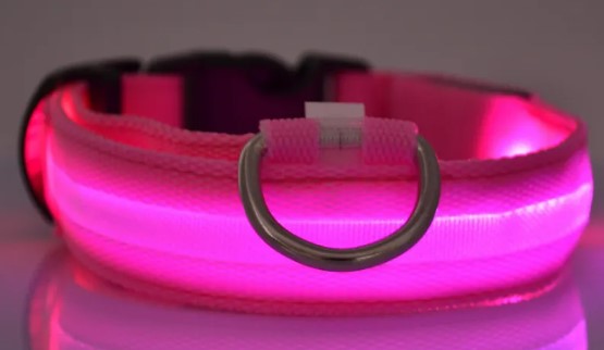 GlowSafe Nylon LED Collar & Leash