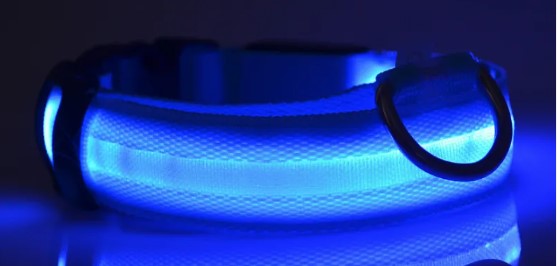GlowSafe Nylon LED Collar & Leash