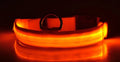 GlowSafe Nylon LED Collar & Leash