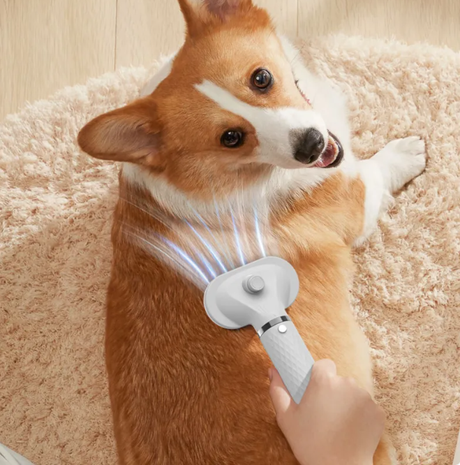 PawSmooth 2-in-1 Pet Styler