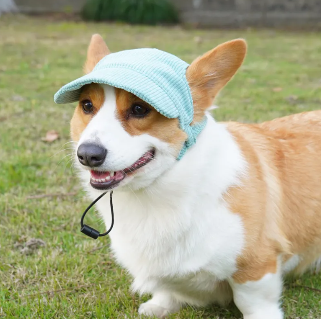 Chic Pet Cap