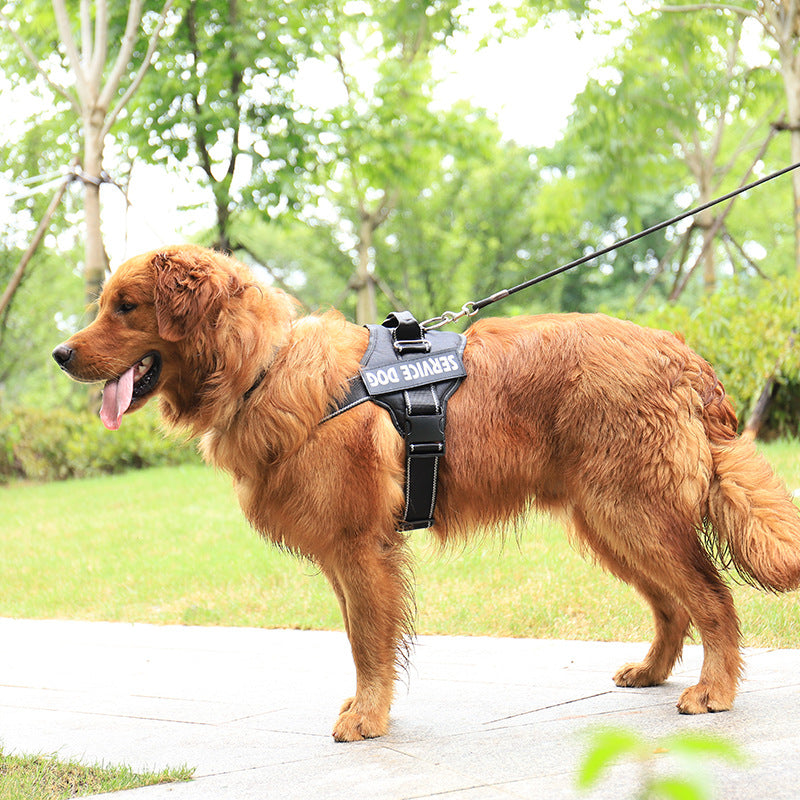 Custom-Fit Pet Explorer Harness