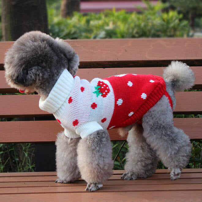 Knit Pet Sweater Styles