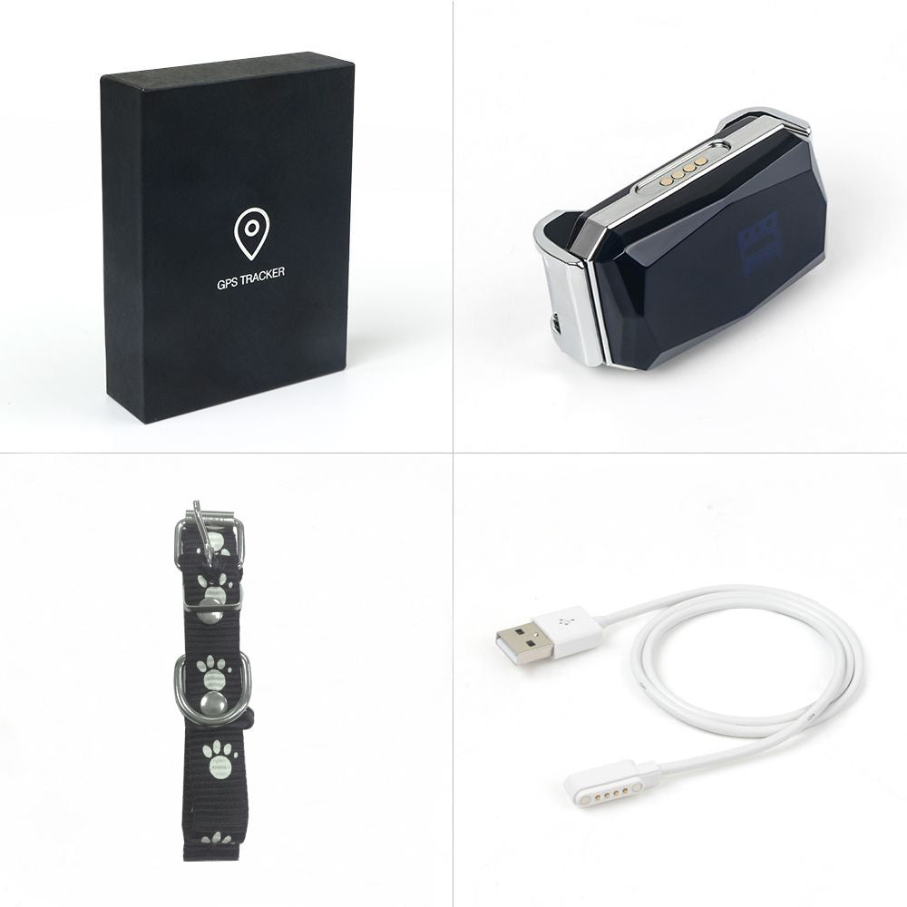 PetSafe GPS Monitoring Collar