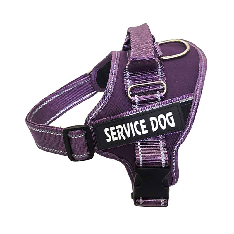 Custom-Fit Pet Explorer Harness