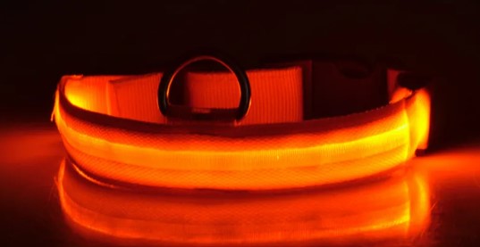 GlowSafe Nylon LED Collar & Leash