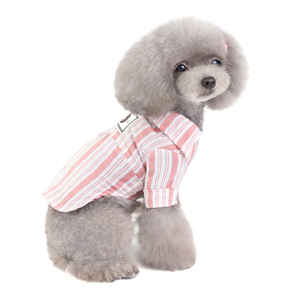 Chic Pet Outfits - Dog and Cat Shirts