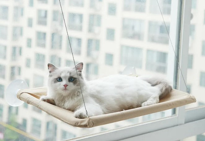 Cat Lookout Window Hammock