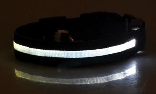 GlowSafe Nylon LED Collar & Leash