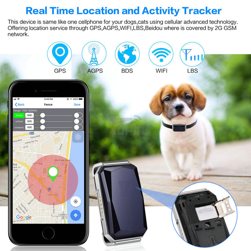 PetSafe GPS Monitoring Collar