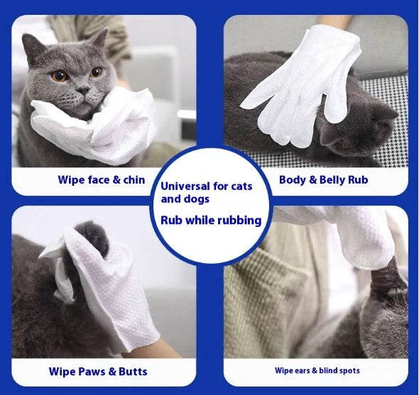No-Rinse Pet Grooming Gloves