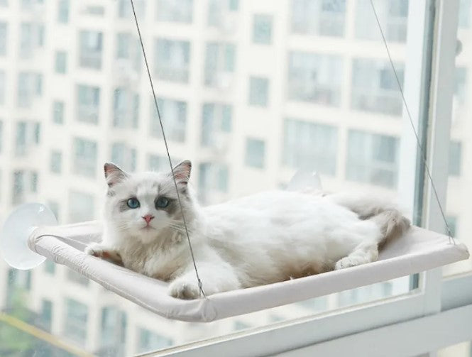 Cat Lookout Window Hammock