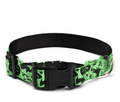 Spooky Season Pet Collar